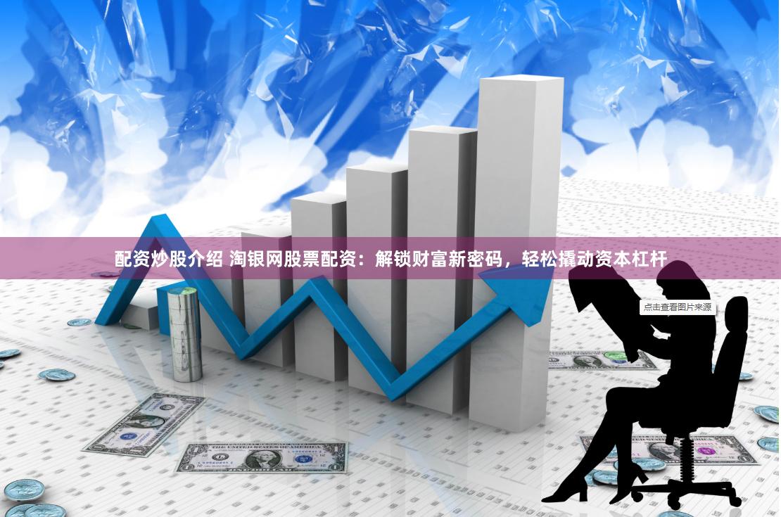 配资炒股介绍 淘银网股票配资：解锁财富新密码，轻松撬动资本杠杆