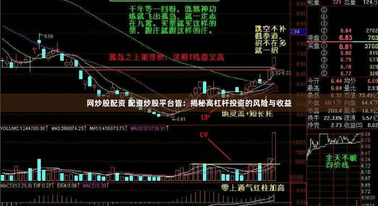 网炒股配资 配资炒股平台皆：揭秘高杠杆投资的风险与收益
