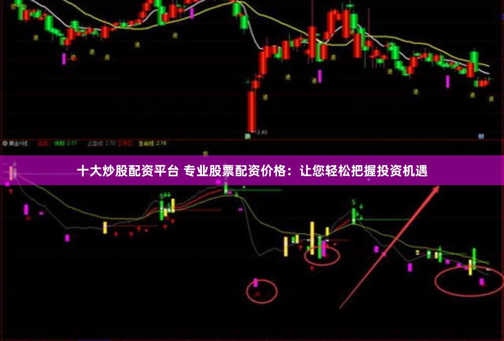 十大炒股配资平台 专业股票配资价格:让您轻松把握投资机遇